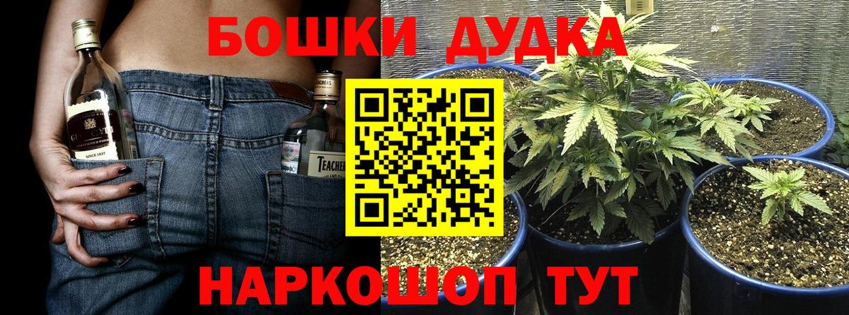 Шишки марихуана AK-47 Родники